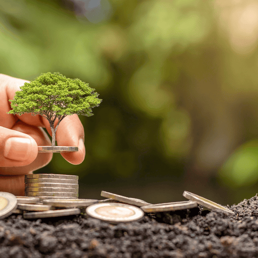 Faut-il épargner ou investir ? Conseils