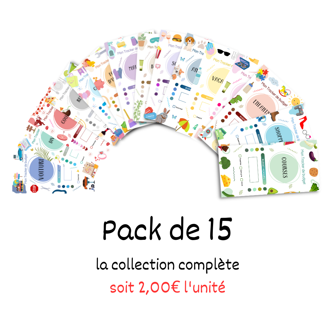 Tracker dépenses par catégorie (plastifié et perforé)