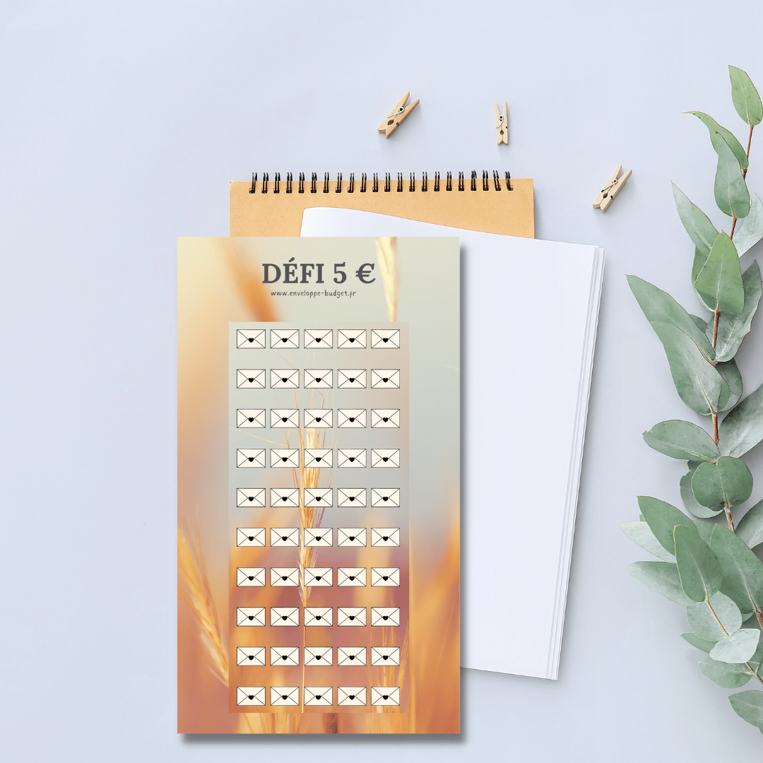 Défi budget 5 euros (Tracker plastifié et perforé) - Enveloppe Budget